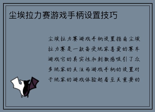 尘埃拉力赛游戏手柄设置技巧